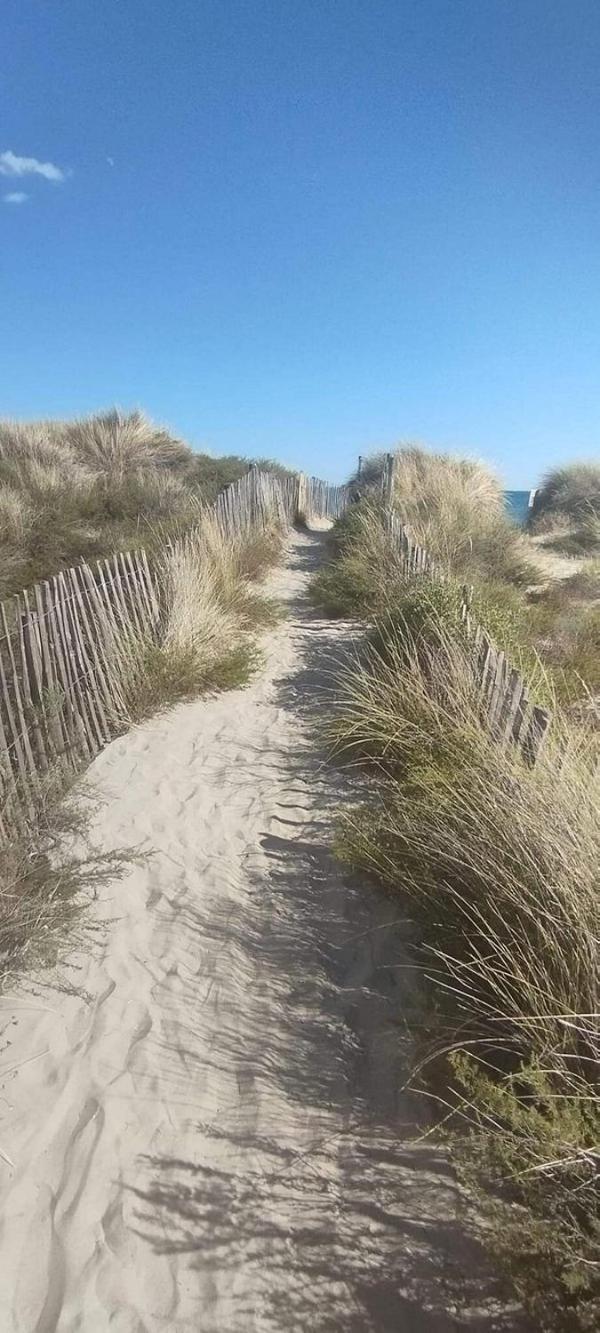 La Bergerie Des Landes Lit-et-Mixe Exterior foto